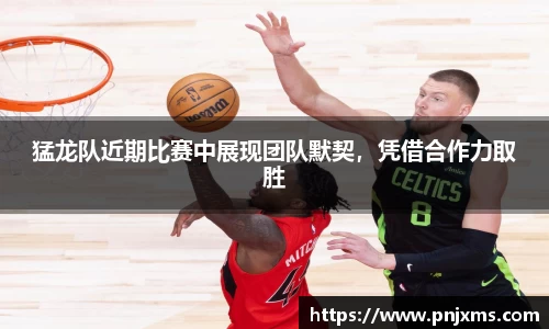 猛龙队近期比赛中展现团队默契，凭借合作力取胜