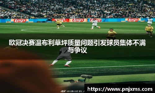 欧冠决赛温布利草坪质量问题引发球员集体不满与争议