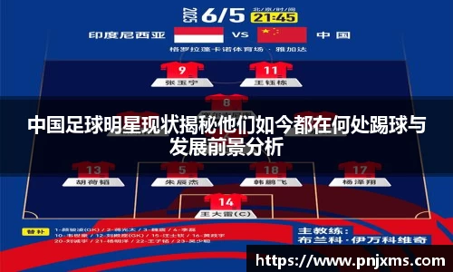 中国足球明星现状揭秘他们如今都在何处踢球与发展前景分析
